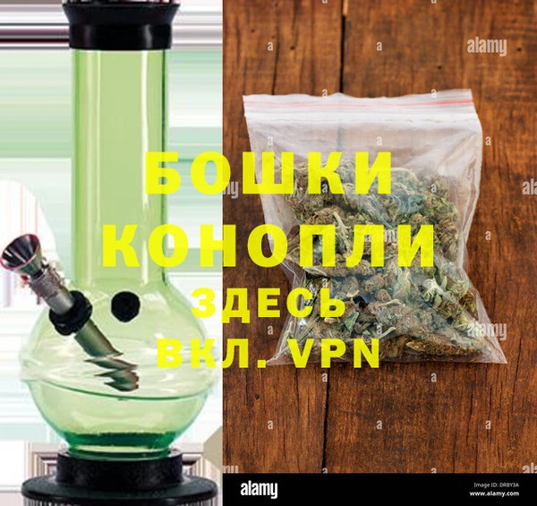 ПСИЛОЦИБИНОВЫЕ ГРИБЫ Верхний Тагил
