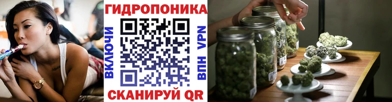 Конопля планчик  omg   Улан-Удэ 
